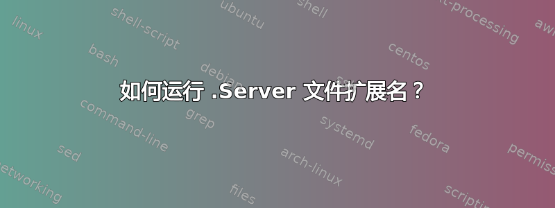 如何运行 .Server 文件扩展名？