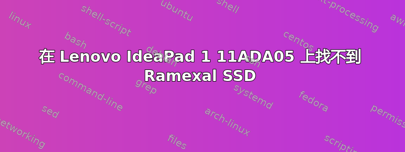 在 Lenovo IdeaPad 1 11ADA05 上找不到 Ramexal SSD