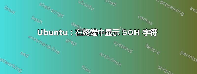 Ubuntu：在终端中显示 SOH 字符