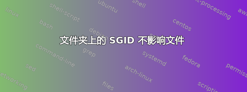 文件夹上的 SGID 不影响文件