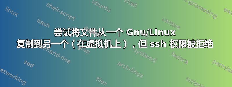 尝试将文件从一个 Gnu/Linux 复制到另一个（在虚拟机上），但 ssh 权限被拒绝