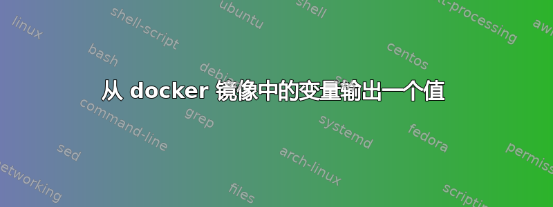 从 docker 镜像中的变量输出一个值