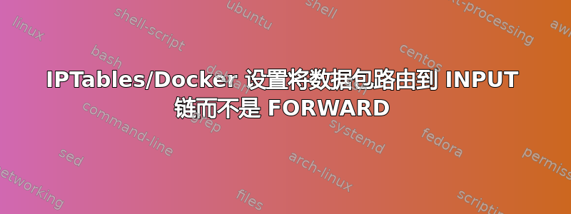 IPTables/Docker 设置将数据包路由到 INPUT 链而不是 FORWARD