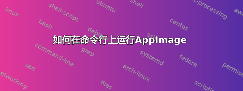 如何在命令行上运行AppImage