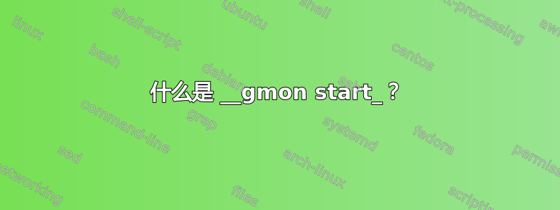 什么是 __gmon start_？