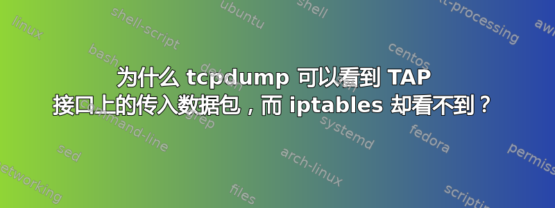 为什么 tcpdump 可以看到 TAP 接口上的传入数据包，而 iptables 却看不到？