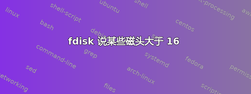 fdisk 说某些磁头大于 16