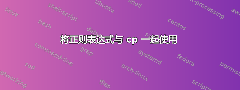 将正则表达式与 cp 一起使用