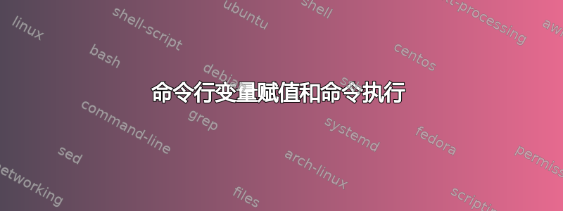 命令行变量赋值和命令执行