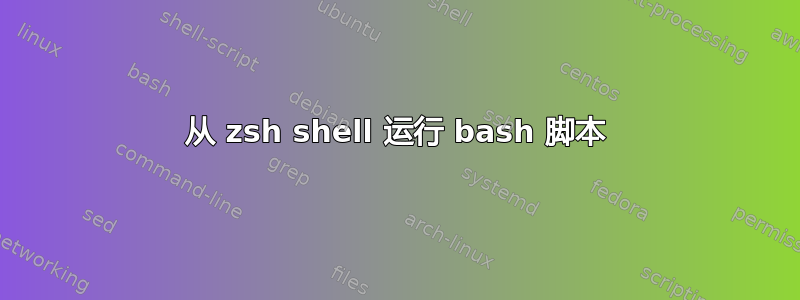 从 zsh shell 运行 bash 脚本