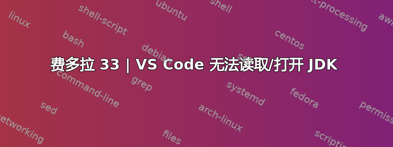 费多拉 33 | VS Code 无法读取/打开 JDK