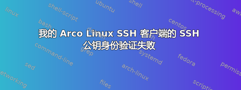 我的 Arco Linux SSH 客户端的 SSH 公钥身份验证失败