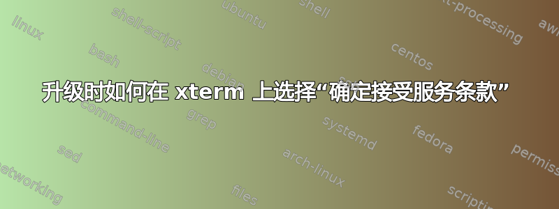 升级时如何在 xterm 上选择“确定接受服务条款”