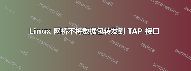 Linux 网桥不将数据包转发到 TAP 接口