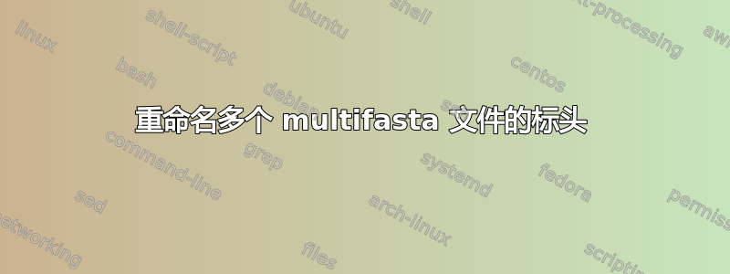 重命名多个 multifasta 文件的标头