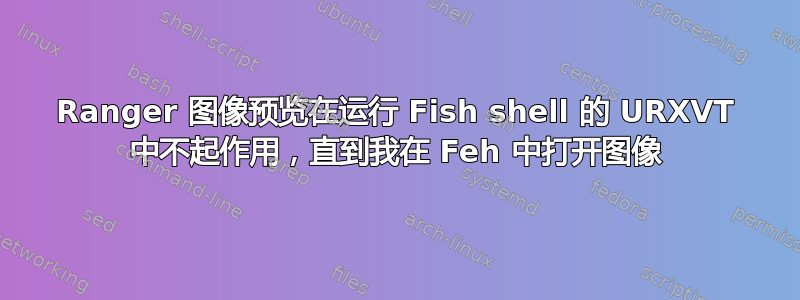 Ranger 图像预览在运行 Fish shell 的 URXVT 中不起作用，直到我在 Feh 中打开图像