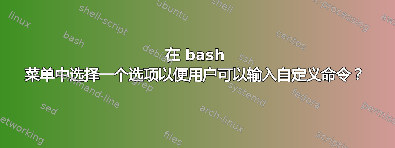 在 bash 菜单中选择一个选项以便用户可以输入自定义命令？