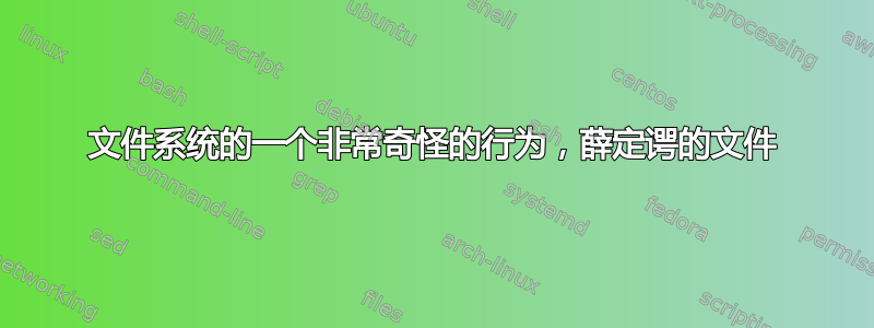 文件系统的一个非常奇怪的行为，薛定谔的文件