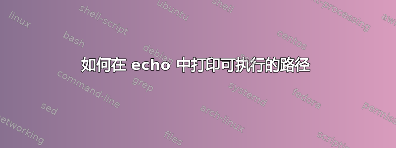 如何在 echo 中打印可执行的路径