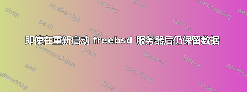 即使在重新启动 freebsd 服务器后仍保留数据