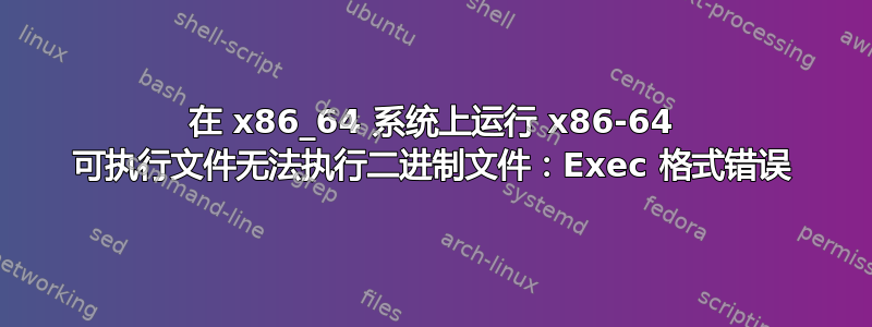 在 x86_64 系统上运行 x86-64 可执行文件无法执行二进制文件：Exec 格式错误