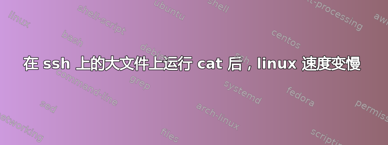 在 ssh 上的大文件上运行 cat 后，linux 速度变慢