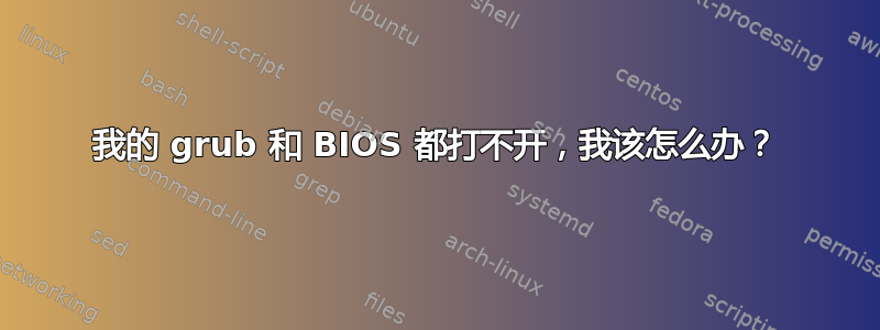 我的 grub 和 BIOS 都打不开，我该怎么办？