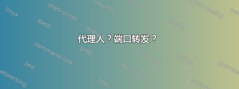 代理人？端口转发？