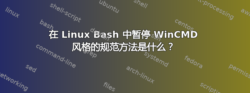 在 Linux Bash 中暂停 WinCMD 风格的规范方法是什么？