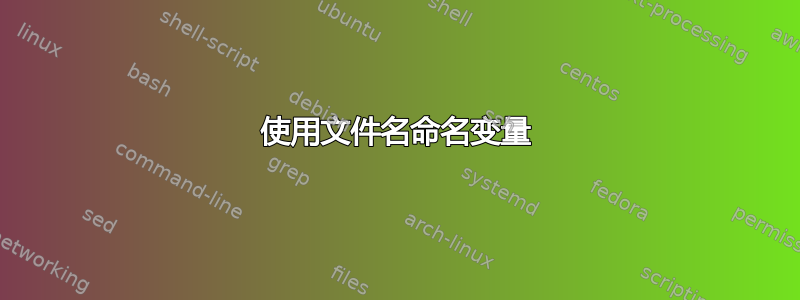 使用文件名命名变量