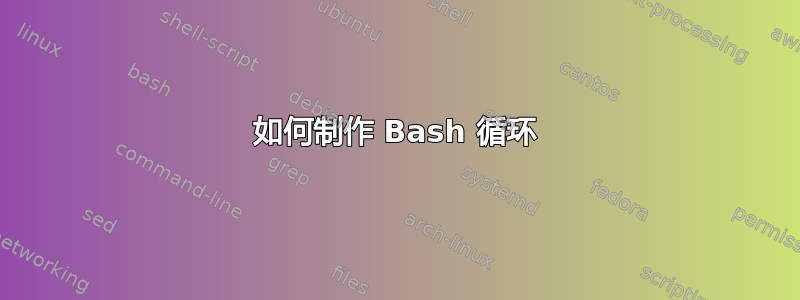 如何制作 Bash 循环