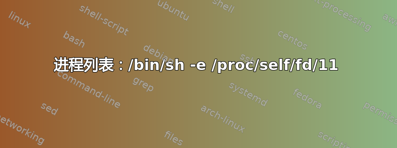 进程列表：/bin/sh -e /proc/self/fd/11