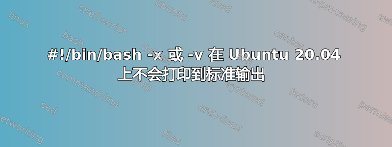 #!/bin/bash -x 或 -v 在 Ubuntu 20.04 上不会打印到标准输出 