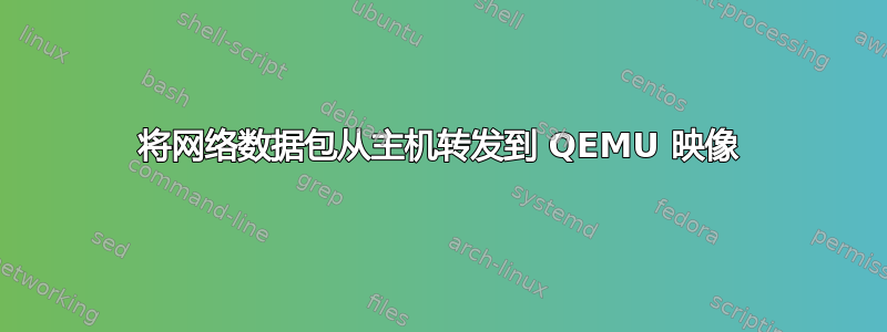 将网络数据包从主机转发到 QEMU 映像