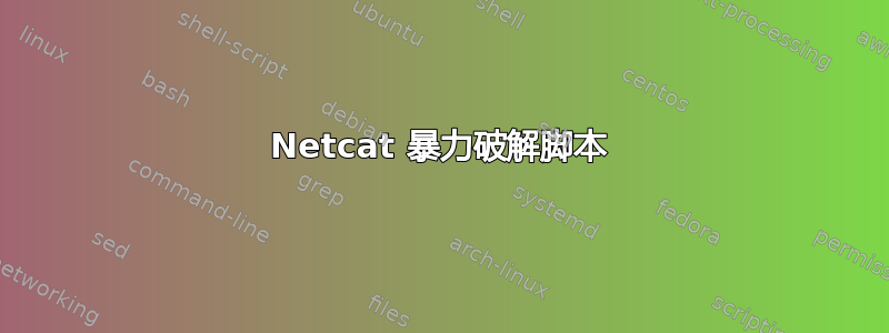 Netcat 暴力破解脚本