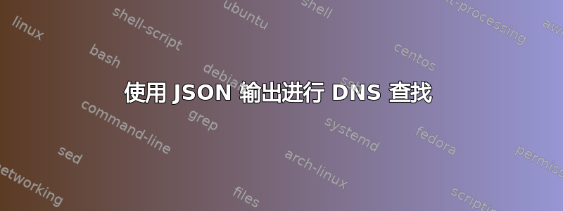 使用 JSON 输出进行 DNS 查找