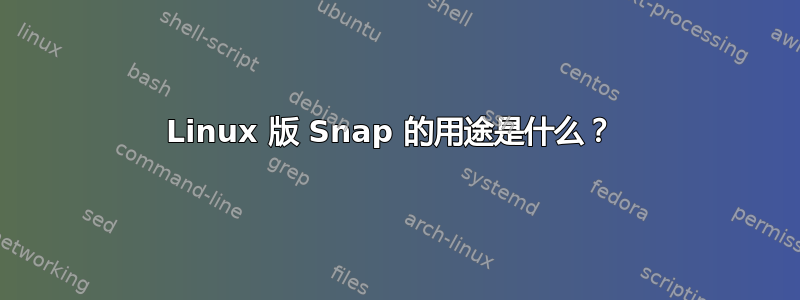 Linux 版 Snap 的用途是什么？ 