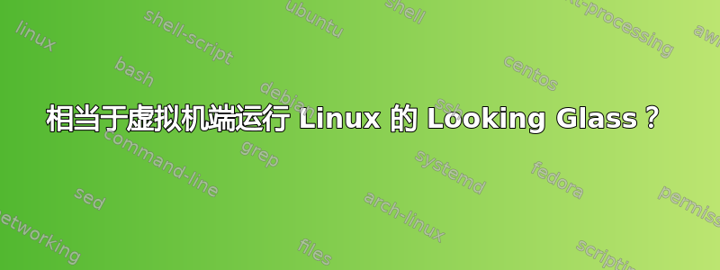 相当于虚拟机端运行 Linux 的 Looking Glass？