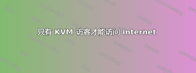 只有 KVM 访客才能访问 Internet