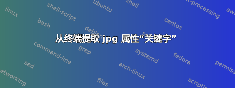 从终端提取 jpg 属性“关键字”