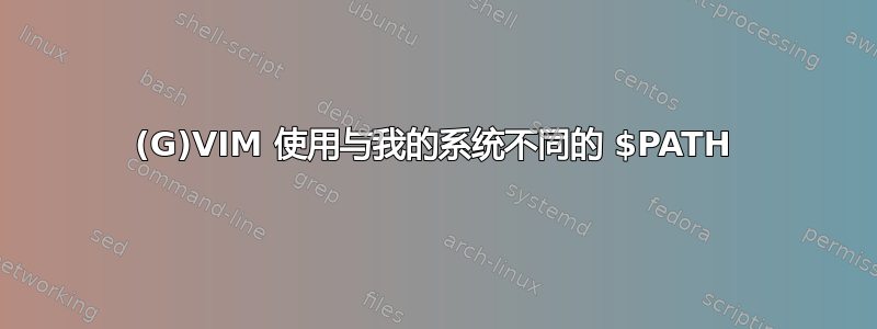 (G)VIM 使用与我的系统不同的 $PATH