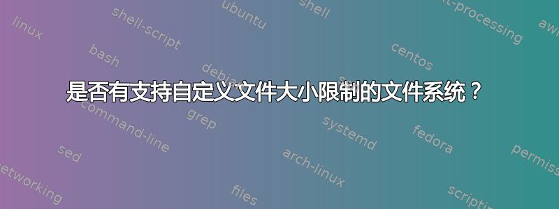 是否有支持自定义文件大小限制的文件系统？