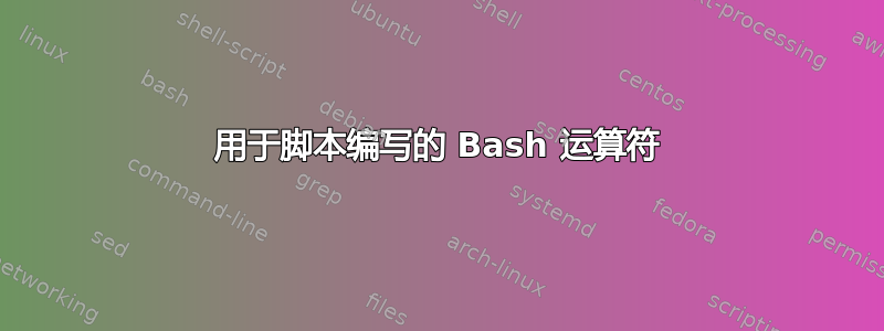 用于脚本编写的 Bash 运算符