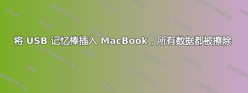 将 USB 记忆棒插入 MacBook，所有数据都被擦除