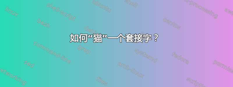 如何“猫”一个套接字？