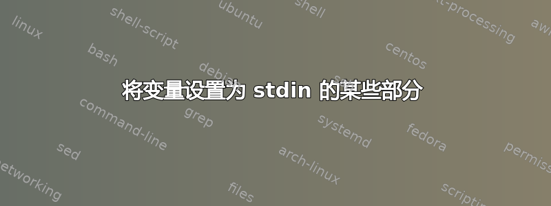 将变量设置为 stdin 的某些部分