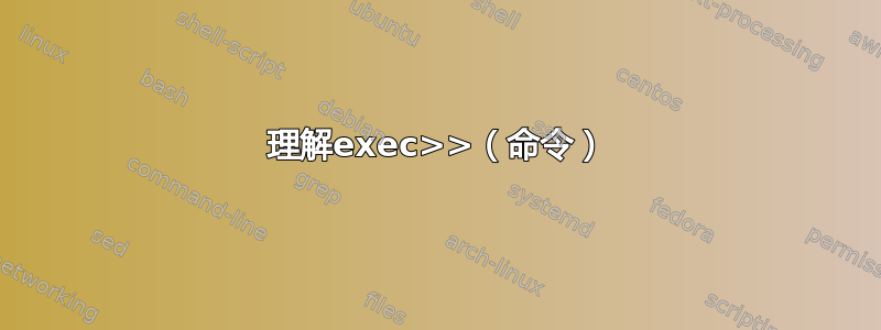 理解exec>>（命令）