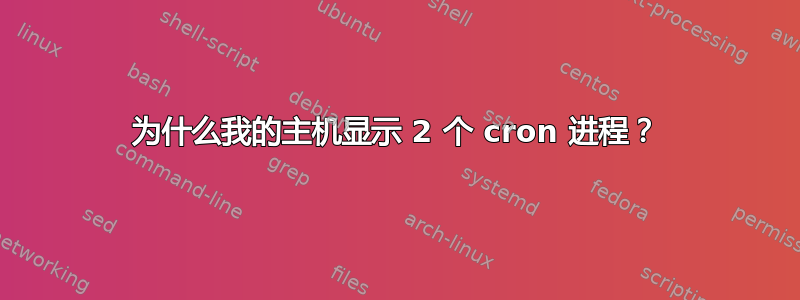 为什么我的主机显示 2 个 cron 进程？