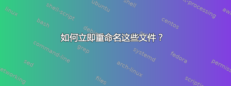 如何立即重命名这些文件？ 