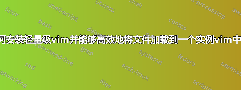 如何安装轻量级vim并能够高效地将文件加载到一个实例vim中？